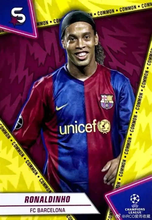 拥有丰富的 拥有丰富的